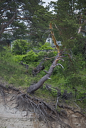 ���������� '�� ���������� ������� �������� ������'. ����������� �������. �� ��������� �� �����