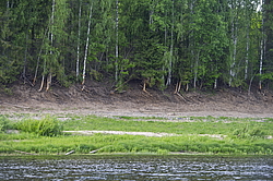 ���������� '�� ���������� ������� �������� ������'. ����������� �������. �� ��������� �� �����