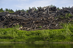 ���������� '�� ���������� ������� �������� ������'. ����������� �������. �� ��������� �� �����