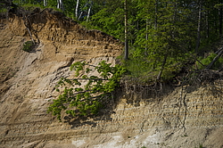 ���������� '�� ���������� ������� �������� ������'. ����������� �������. �� ��������� �� �����