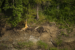 ���������� '�� ���������� ������� �������� ������'. ����������� �������. �� ��������� �� �����