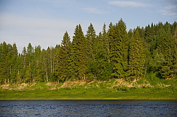 ���������� '�� ���������� ������� �������� ������'. ����������� �������. �� ��������� �� �����