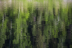 ���������� '�� ���������� ������� �������� ������'. ����������� �������. �� ��������� �� �����