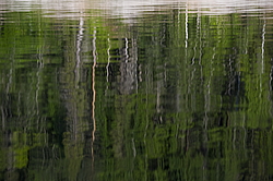 ���������� '�� ���������� ������� �������� ������'. ����������� �������. �� ��������� �� �����