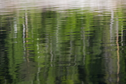 ���������� '�� ���������� ������� �������� ������'. ����������� �������. �� ��������� �� �����