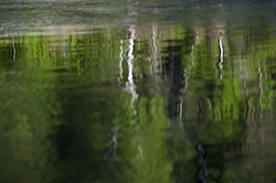 ���������� '�� ���������� ������� �������� ������'. ����������� �������. �� ��������� �� �����