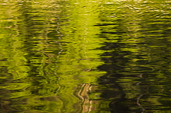 ���������� '�� ���������� ������� �������� ������'. ����������� �������. �� ��������� �� �����