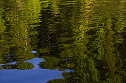 ���������� '�� ���������� ������� �������� ������'. ����������� �������. �� ��������� �� �����