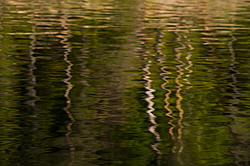 ���������� '�� ���������� ������� �������� ������'. ����������� �������. �� ��������� �� �����