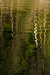 ���������� '�� ���������� ������� �������� ������'. ����������� �������. �� ��������� �� �����