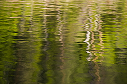 ���������� '�� ���������� ������� �������� ������'. ����������� �������. �� ��������� �� �����