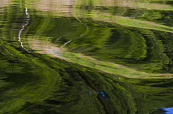 ���������� '�� ���������� ������� �������� ������'. ����������� �������. �� ��������� �� �����