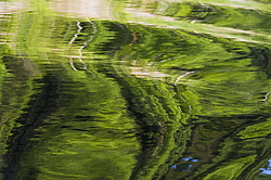 ���������� '�� ���������� ������� �������� ������'. ����������� �������. �� ��������� �� �����