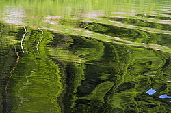 ���������� '�� ���������� ������� �������� ������'. ����������� �������. �� ��������� �� �����