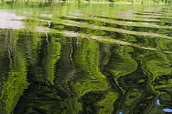 ���������� '�� ���������� ������� �������� ������'. ����������� �������. �� ��������� �� �����