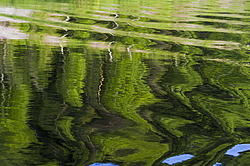 ���������� '�� ���������� ������� �������� ������'. ����������� �������. �� ��������� �� �����