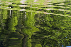 ���������� '�� ���������� ������� �������� ������'. ����������� �������. �� ��������� �� �����