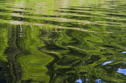 ���������� '�� ���������� ������� �������� ������'. ����������� �������. �� ��������� �� �����