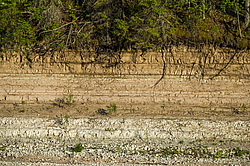 ���������� '�� ���������� ������� �������� ������'. ����������� �������. �� ��������� �� �����