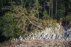 ���������� '�� ���������� ������� �������� ������'. ����������� �������. �� ��������� �� �����