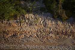 ���������� '�� ���������� ������� �������� ������'. ����������� �������. �� ��������� �� �����