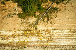 ���������� '�� ���������� ������� �������� ������'. ����������� �������. �� ��������� �� �����