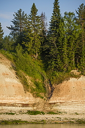 ���������� '�� ���������� ������� �������� ������'. ����������� �������. �� ��������� �� �����