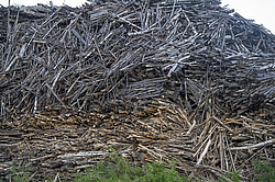 ���������� '�� ���������� ������� �������� ������'. ����������� �������. �� ��������� �� �����