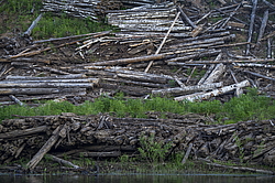 ���������� '�� ���������� ������� �������� ������'. ����������� �������. �� ��������� �� �����