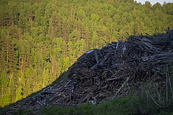 ���������� '�� ���������� ������� �������� ������'. ����������� �������. �� ��������� �� �����