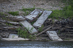 ���������� '�� ���������� ������� �������� ������'. ����������� �������. �� ��������� �� �����