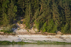 ���������� '�� ���������� ������� �������� ������'. ����������� �������. �� ��������� �� �����