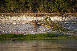 ���������� '�� ���������� ������� �������� ������'. ����������� �������. �� ��������� �� �����