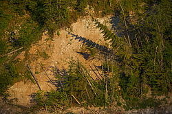 ���������� '�� ���������� ������� �������� ������'. ����������� �������. �� ��������� �� �����