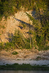 ���������� '�� ���������� ������� �������� ������'. ����������� �������. �� ��������� �� �����