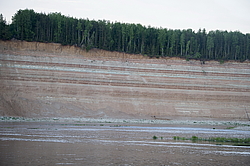 ���������� '�� ���������� ������� �������� ������'. ����������� �������. �� ��������� �� �����