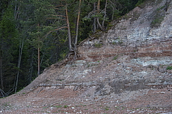 ���������� '�� ���������� ������� �������� ������'. ����������� �������. �� ��������� �� �����