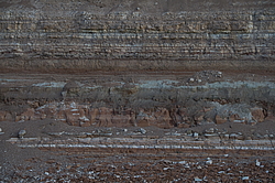 ���������� '�� ���������� ������� �������� ������'. ����������� �������. ����� - ���������� ��������� ������� �������