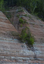 ���������� '�� ���������� ������� �������� ������'. ����������� �������. ����� - ���������� ��������� ������� �������