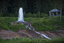 ���������� '�� ���������� ������� �������� ������'. ����������� �������. ����� - ���������� ��������� ������� �������