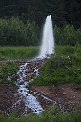 ���������� '�� ���������� ������� �������� ������'. ����������� �������. ����� - ���������� ��������� ������� �������