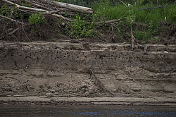 ���������� '�� ���������� ������� �������� ������'. ������������� �������, �� ����� ����� �� ����� ������  �� �������