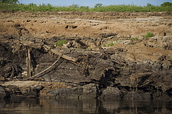 ���������� '�� ���������� ������� �������� ������'. ������������� �������, �� ����� ����� �� ����� ������  �� �������