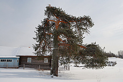 ��������, ������� ������ (����������� ������)