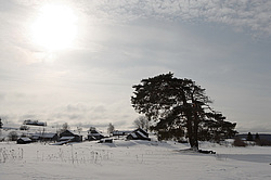 ��������, ������� ������ (����������� ������)