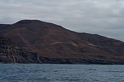 ������� ����� ������� �������������