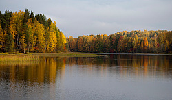 ������������� �������. ����������� �������, ��������, ������� ����� (���������� ������)