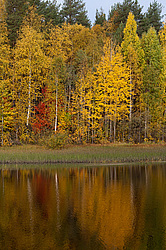 ������������� �������. ����������� �������, ��������, ������� ����� (���������� ������)