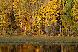 ������������� �������. ����������� �������, ��������, ������� ����� (���������� ������)