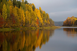 ������������� �������. ����������� �������, ��������, ������� ����� (���������� ������)